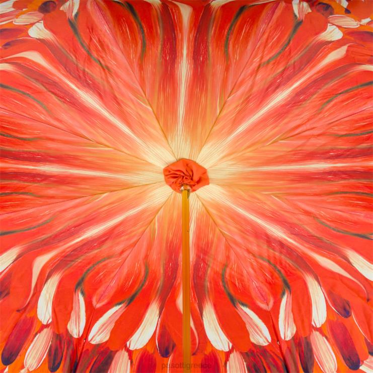 ομπρέλα | PASOTTI 189 30093-4 k3 - τουκανούμπρελα 2N6B8509 γυναίκες